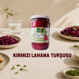 Kırmızı Lahana Turşusu 400 g resmi