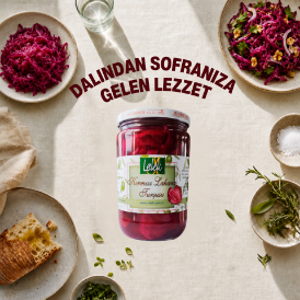 Kırmızı Lahana Turşusu 400 g resmi