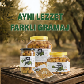 Organik Yeşil Çizik Zeytin 2,2 kg resmi
